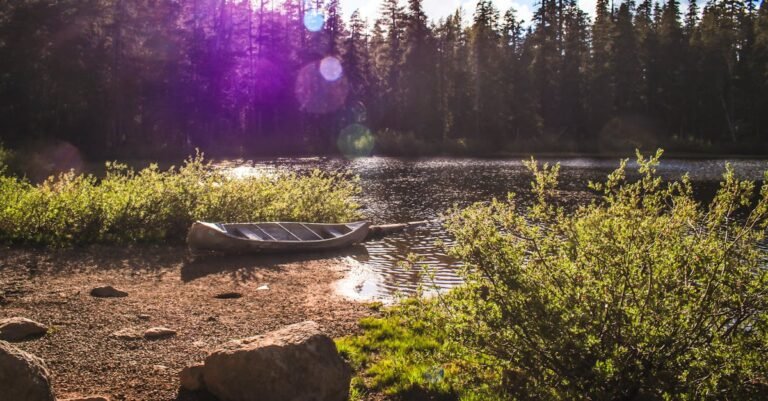 Peaceful lake scene with a canoe and forest background during sunset, perfect for nature lovers.